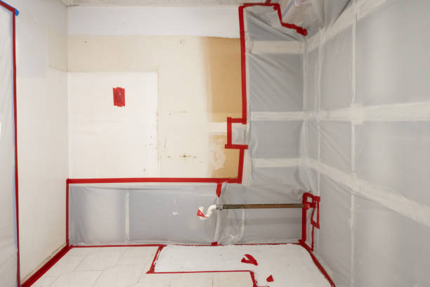 Best HVAC Mold Inspection and Cleaning  in Waynesboro, PA